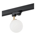 Argon 4307 - Kohdevalo kiskojärjestelmään BANG 1xG9/6W/230V messinki