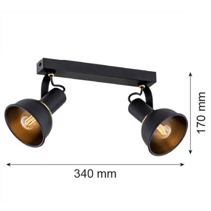 Argon 7037 - Kohdevalo TWIST 2xE14/7W/230V musta/kultainen