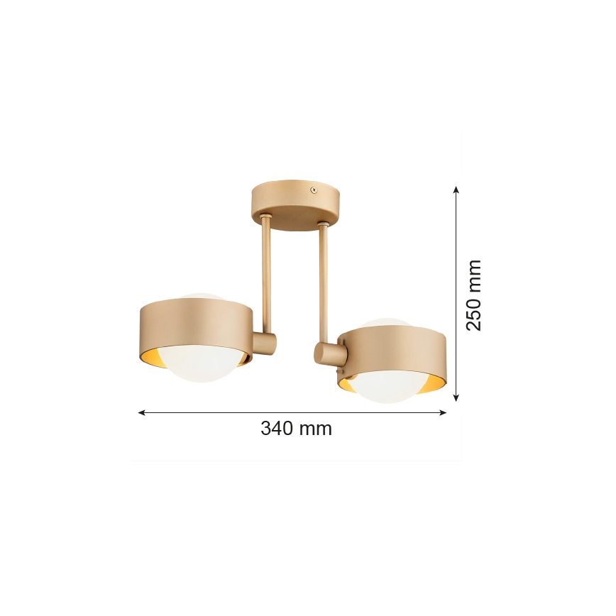 Argon 7215 - Kylpyhuoneen riipuskattokruunu MASSIMO PLUS 2xG9/6W/230V IP44 kulta