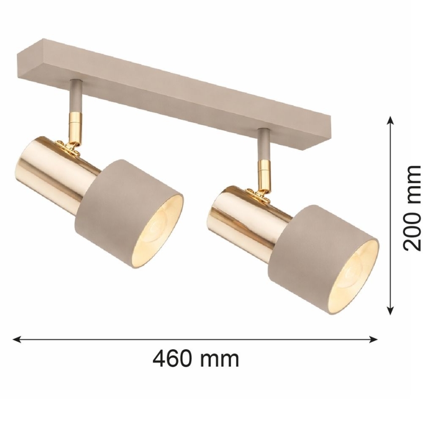Argon 7299 - Kohdevalaisin DOR 2xE27/15W/230V kultainen/beige
