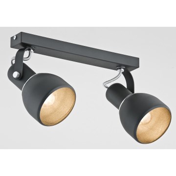 Argon 762 - Kohdevalo FOGO 2xE27/15W/230V