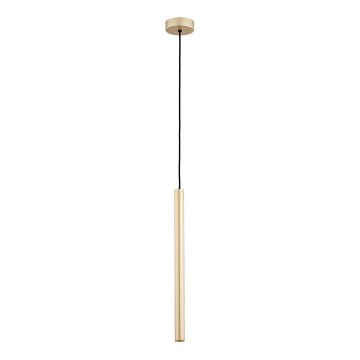 Argon 8327 - LED-kattokruunu johdossa RIO LED/4,2W/230V 3000K kulta