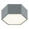Argon 8784 - LED-kattovalaisin LIBERO LED/12W/230V 3000K harmaa