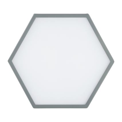 Argon 8784 - LED-kattovalaisin LIBERO LED/12W/230V 3000K harmaa