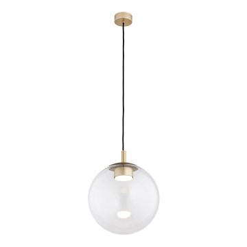 Argon 8828 - Kattokruunu johdossa SACRAMENTO 1xGX53/8W/230V läpinäkyvä/kulta