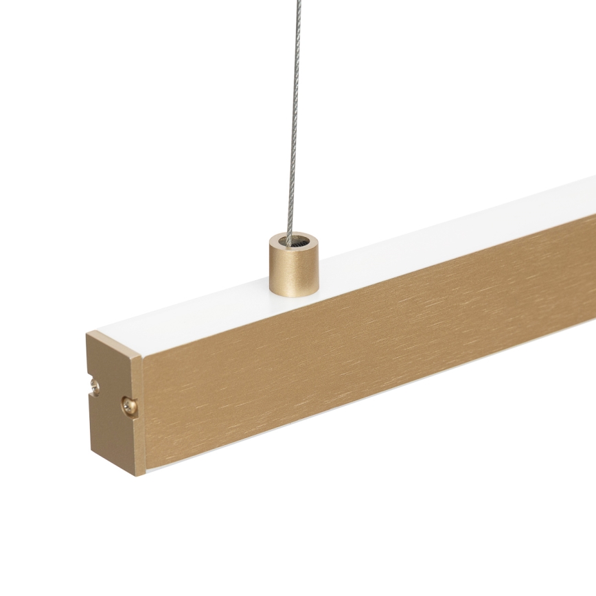 Argon 8836 - LED-kattokruunu johdossa MIAMI LED/37W/230V 3000K kulta