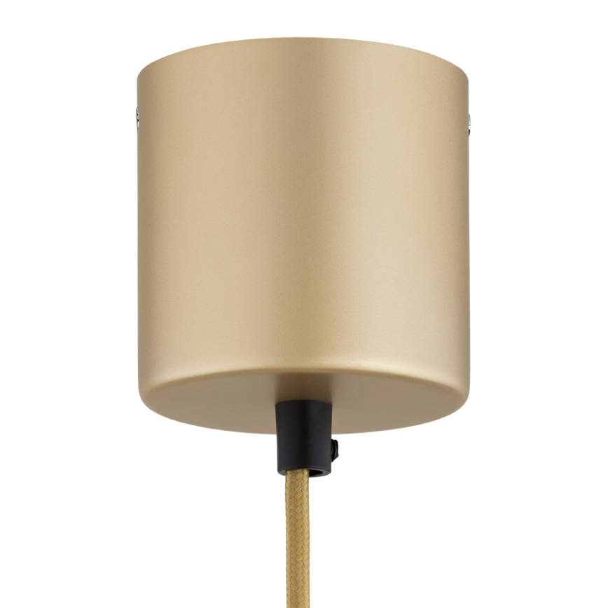 Argon 8869 - LED-riippuvalaisin vaijerilla BOLTON LED/12,5W/230V 3000K kultainen