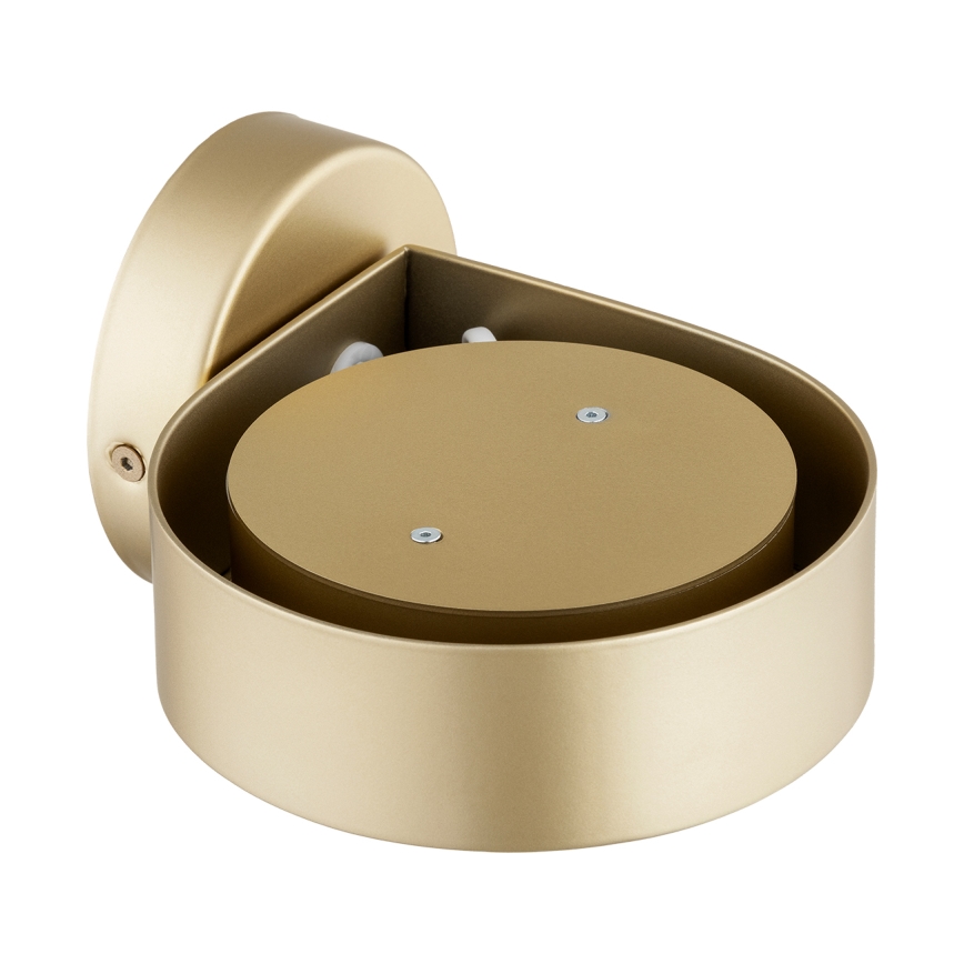 Argon 8899 - seinävalaisin LOTUS 1xGX53/12W/230V kultainen