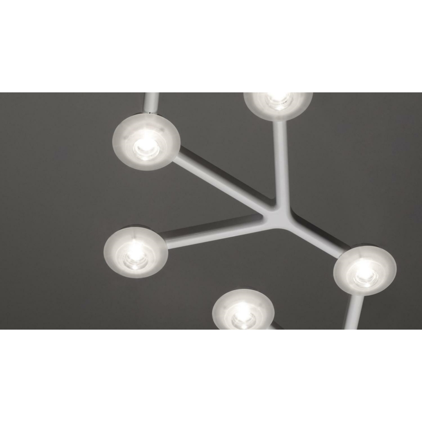 Artemide 1575050APP - Himmennettävä LED-kattokruunu johdossa NET LED/43W/230V halkaisija 65 cm 3000K