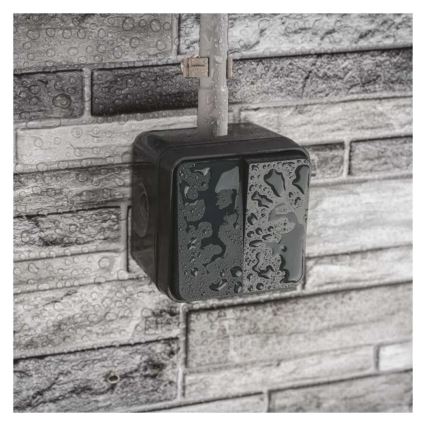 Asuinrakennuksen 2-painikkeinen vaihtokytkin, nro 6+6, IP55, antrasiitti