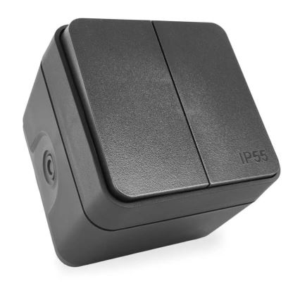 Asuinrakennuksen 2-painikkeinen vaihtokytkin, nro 6+6, IP55, antrasiitti