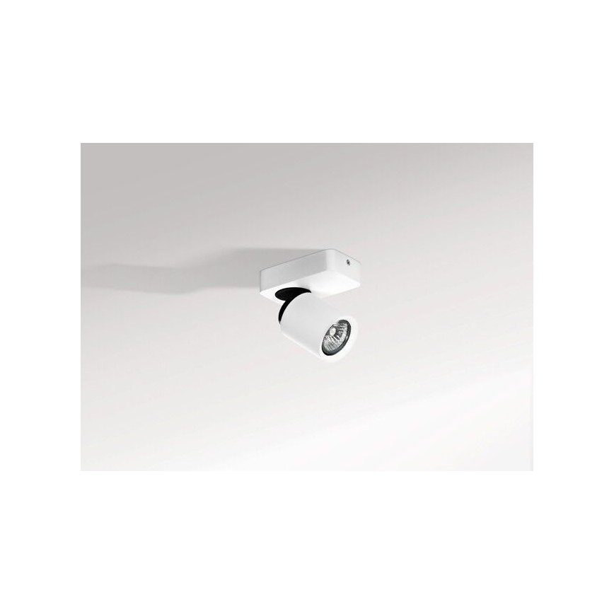 Azzardo AZ0662 - Kohdevalo TOMI 1xGU10/50W/230V