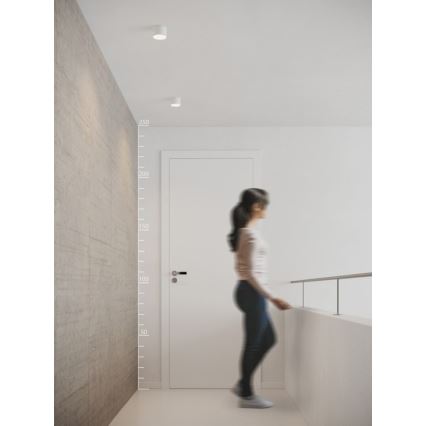 Azzardo AZ2252 - LED-kattovalaisin MONZA 1xLED/5W/230V