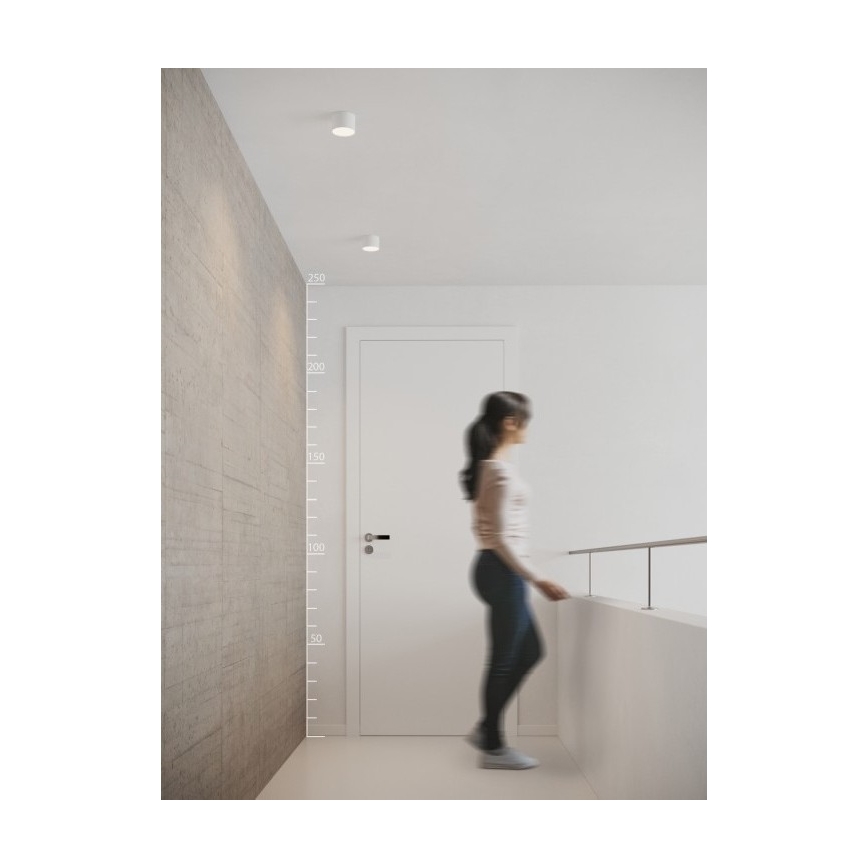 Azzardo AZ2253 - LED-kattovalaisin MONZA 1xLED/5W/230V