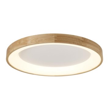 Azzardo AZ2698 - LED-kattovalaisin SILVAM LED/50W/230V