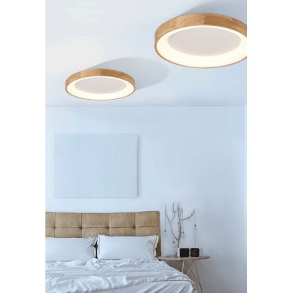 Azzardo AZ2698 - LED-kattovalaisin SILVAM LED/50W/230V