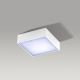 Azzardo AZ2781 - LED-kattovalaisin FALCO LED/12W/230V