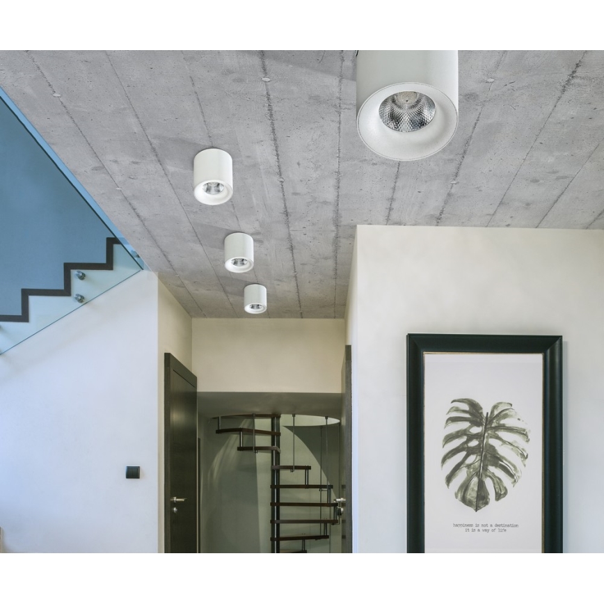 Azzardo AZ2845 - LED-kattovalaisin MANE LED/10W/230V