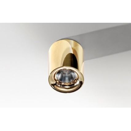 Azzardo AZ2846 - LED-kattovalaisin MANE 1xLED/10W/230V