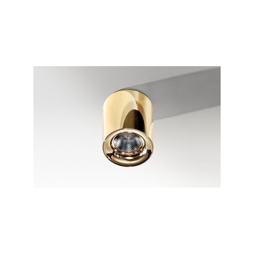 Azzardo AZ2846 - LED-kattovalaisin MANE LED/10W/230V