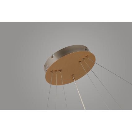 Azzardo AZ4429 - LED-kattokruunu johdossa BRIGHTON LED/55W/230V kulta