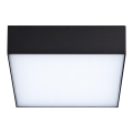 Azzardo AZ4497 - LED Ulkokattovalo CASPER LED/15W/230V IP54 neliö