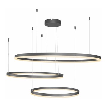 Azzardo AZ4707 - LED-riippuvalaisin kaapelilla HALO LED/130W/230V musta