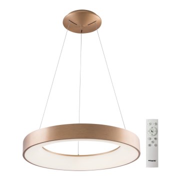 Azzardo AZ5013 - Himmennettävä LED-kattokruunu johdossa SANTANA LED/80W/230V kulta + kauko-ohjaus