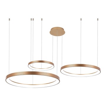 Azzardo AZ5026 - Himmennettävä LED-kattokruunu johdossa AGNES LED/120W/230V kulta