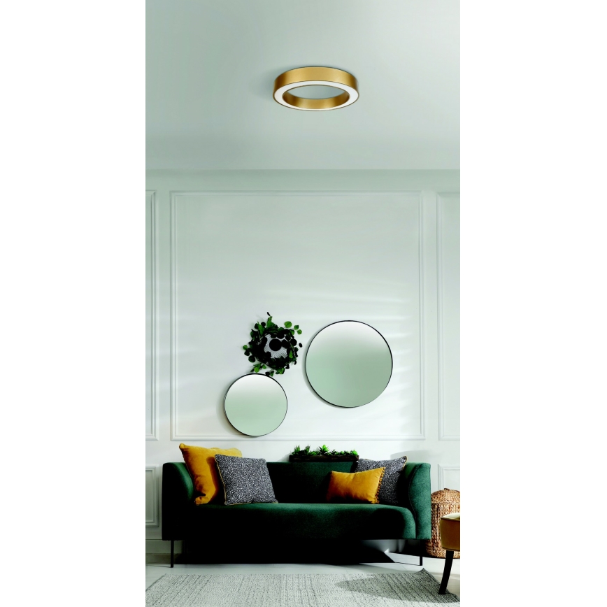 Azzardo AZ5030 - LED-kattovalaisin MARCO LED/30W/230V kulta