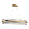 Azzardo AZ5263 - LED-kattokruunu johdossa FRANCESCA LED/64W/230V 100 cm