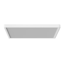 Azzardo AZ5371 - Himmennettävä kylpyhuoneen LED-kattovalaisin PANKA LED/24W/230V IP40 valkoinen