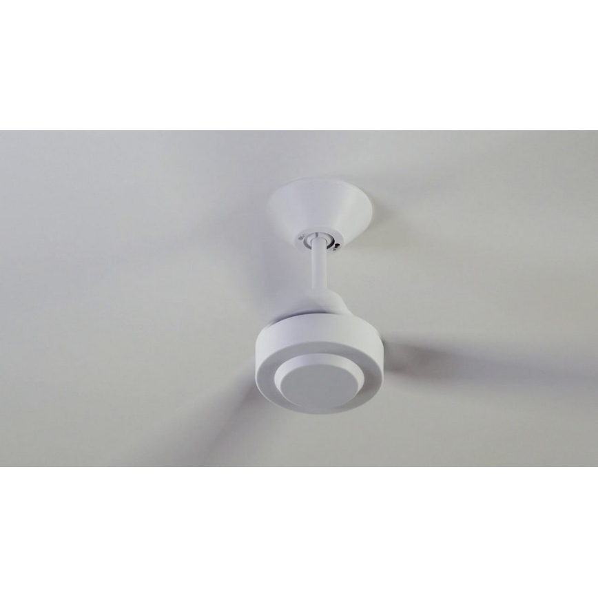 BAYSIDE 213015 - Kattoilmaisin CALYPSO valkoinen