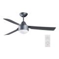 BAYSIDE 531017 - Kattotuuletin MEGARA 2xE14/15W/230V antrasiitti + Kauko-ohjaus