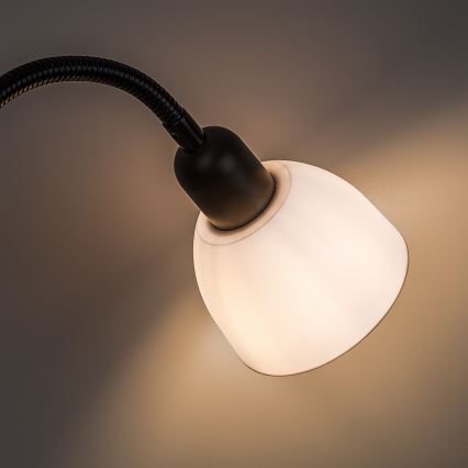 Brilagi - ARIANA lattiavalaisin 1xE27/100W/230V + 1xE14/25W musta