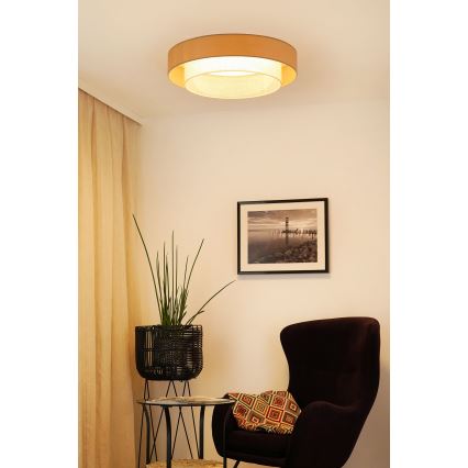Brilagi - LED-kattovalaisin ARIZONA BOHO LED/26W/230V halkaisija 60 cm beige