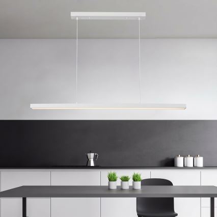 Brilagi - AXIS LED-riippuvalaisin vaijerilla 30W/230V 120 cm valkoinen