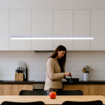 Brilagi - AXIS LED-riippuvalaisin vaijerilla 30W/230V 120 cm valkoinen