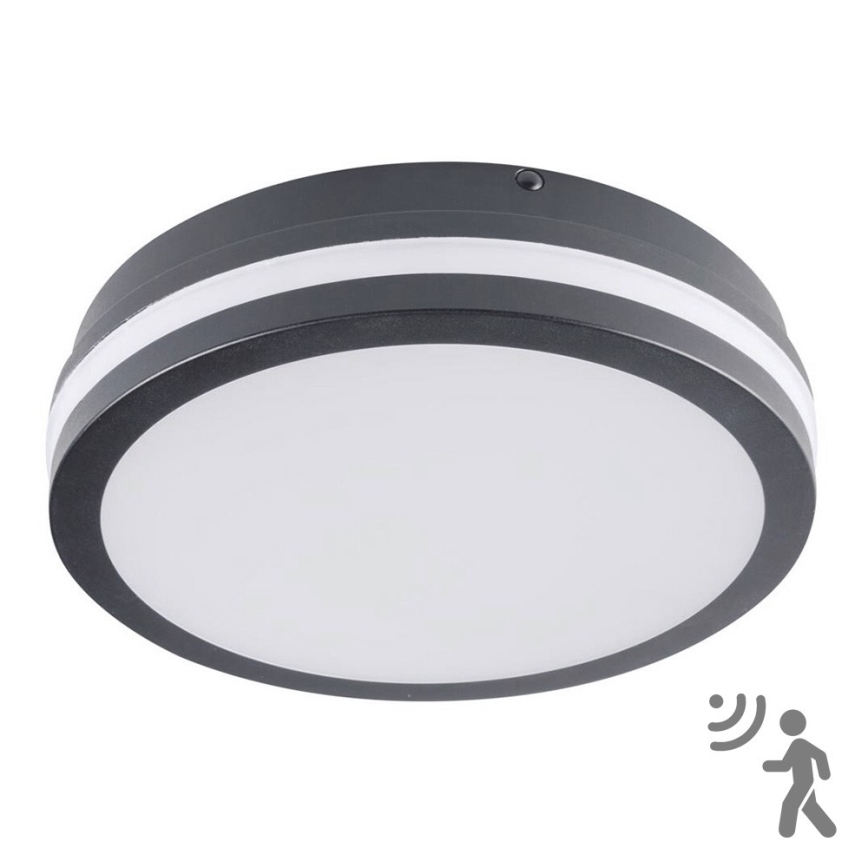 Brilagi - LED-ulkovalaisin liiketunnistimella BENE LED/18W/230V halkaisija 22 cm antrasiitti IP54