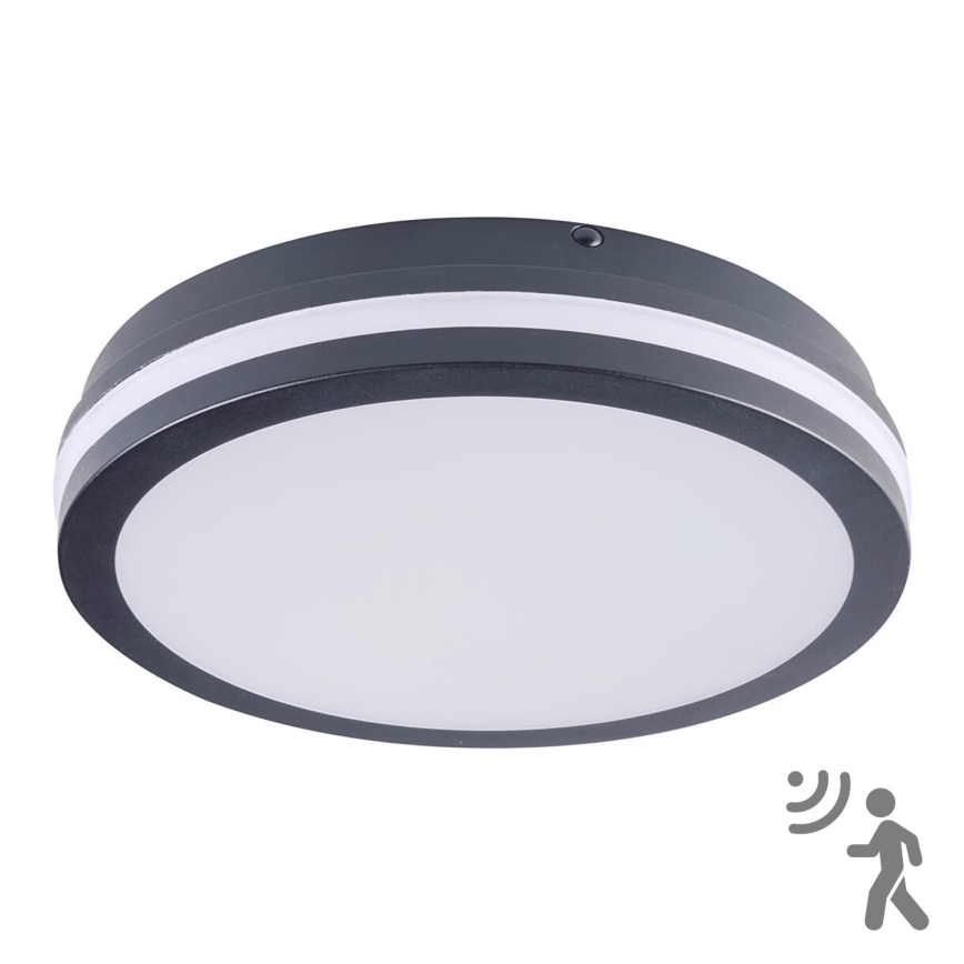 Brilagi - LED-ulkovalaisin liiketunnistimella BENE LED/24W/230V ø 26 cm antrasiitti IP54