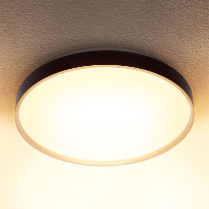 Brilagi - LED himmennettävä kattovalaisin CALA LED/48W/230V 3000-6500K halkaisija 38 cm + kaukosäädin