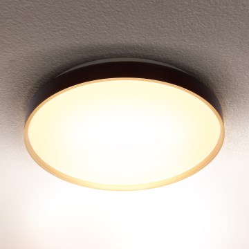 Brilagi - CALA LED-kattovalaisin LED/24W/230V, halkaisija 29,5 cm