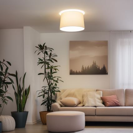 Brilagi - CERIA LED-pinta-asennettava kattovalaisin 1xE27/40W/230V Ø 45 cm beige