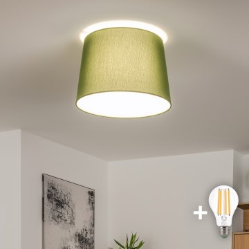 Brilagi - CERIA LED-pintakiinnitteinen kattovalaisin 1xE27/40W/230V Ø 30 cm vihreä