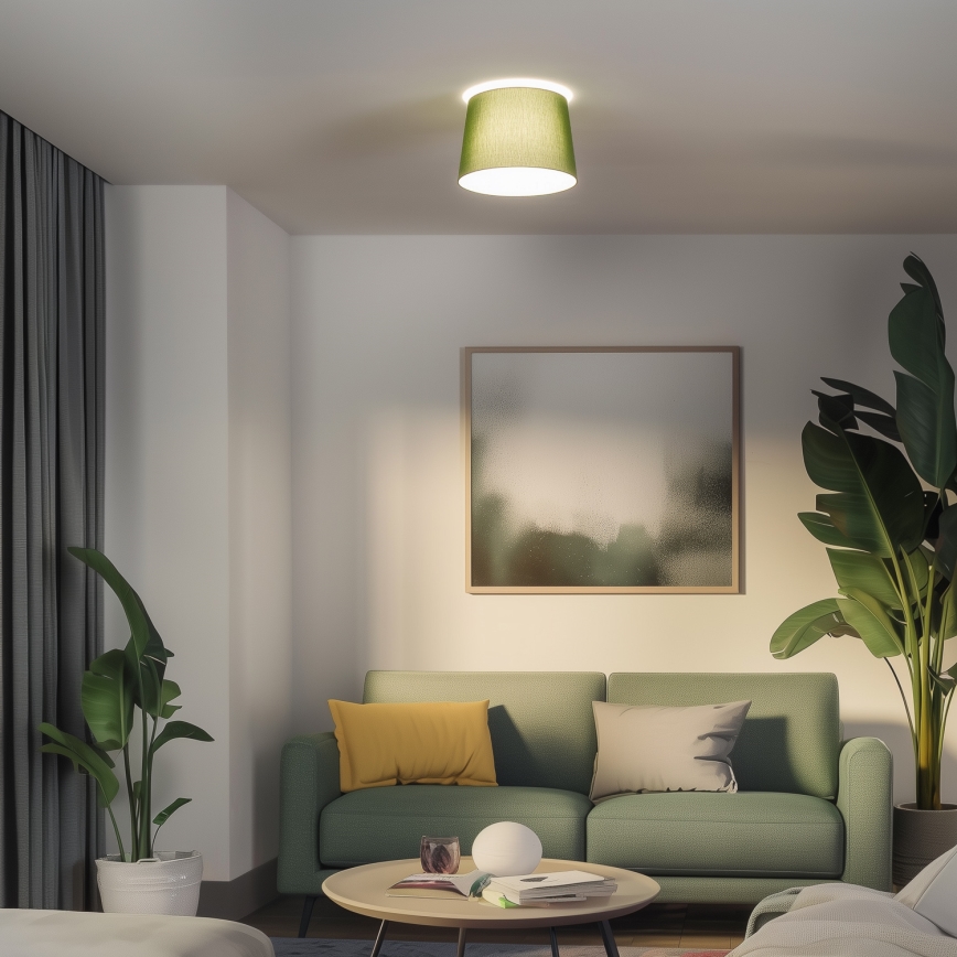 Brilagi - CERIA LED-pintakiinnitteinen kattovalaisin 1xE27/40W/230V Ø 30 cm vihreä