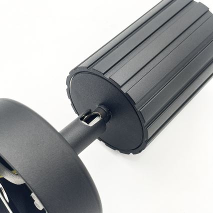 Brilagi - CRISPINA kohdevalaisin 1xGU10/10W/230V musta