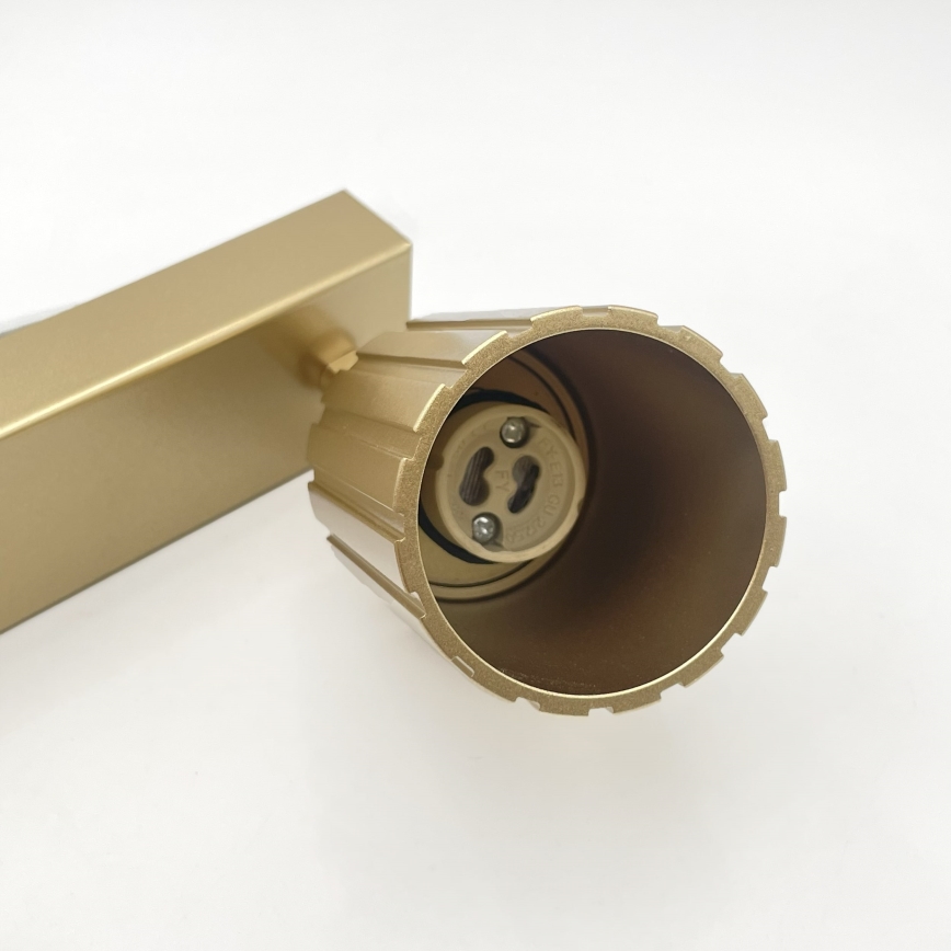 Brilagi - CRISPINA-kohdevalaisin 2xGU10/10W/230V, kullanvärinen