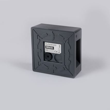 Brilagi - DOUBLERAY LED ulkoseinävalaisin LED/6W/230V antrasiitti IP54