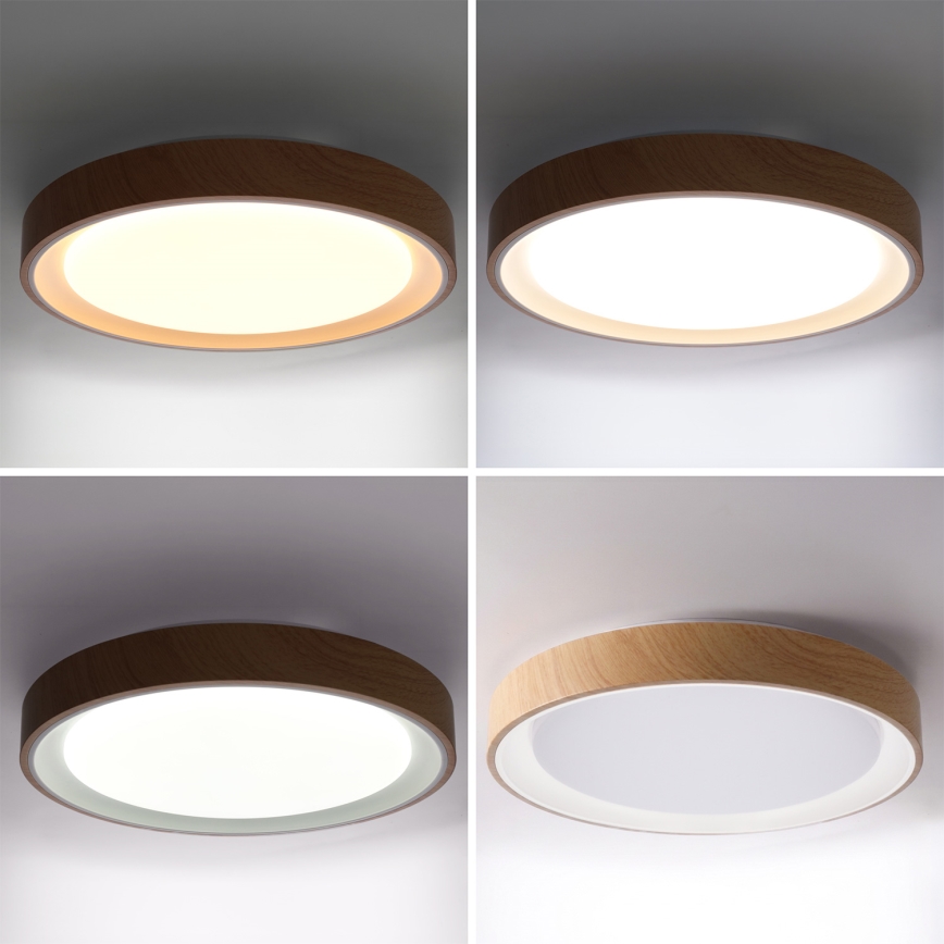 Brilagi - LED-himmennettävä kattovalaisin FLOCO LED/48W/230V halkaisija 40 cm puukuosi/valkoinen + kaukosäädin