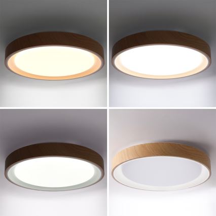 Brilagi - LED-himmennettävä kattovalaisin FLOCO LED/48W/230V halkaisija 40 cm puukuosi/valkoinen + kaukosäädin